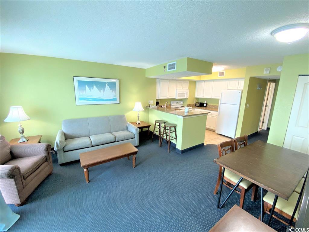 Carolinian 931 living room before redesign